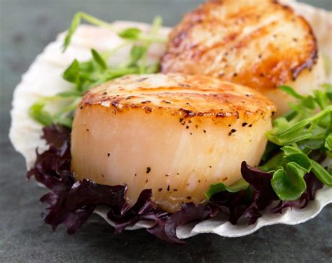 Are scallops healthy. Things To Know About Are scallops healthy. 